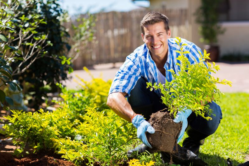 Bush Replacement in Ventura County, CA