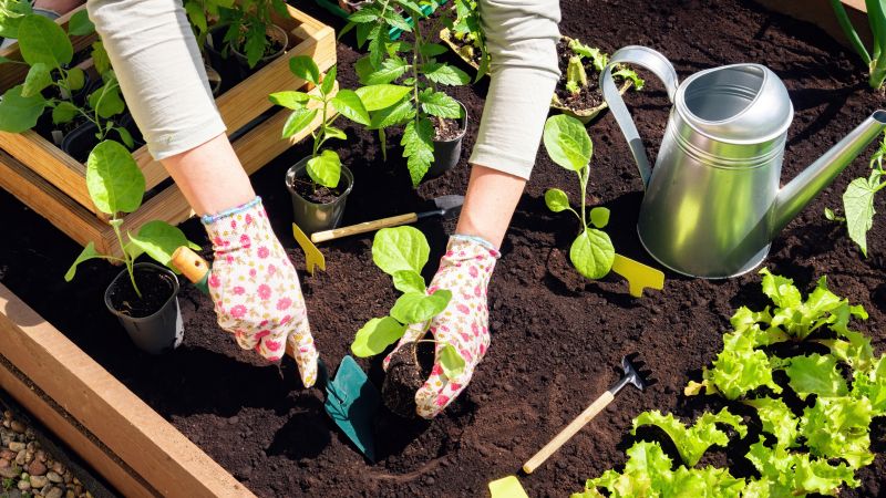 Spring Garden Maintenance in Honolulu, HI